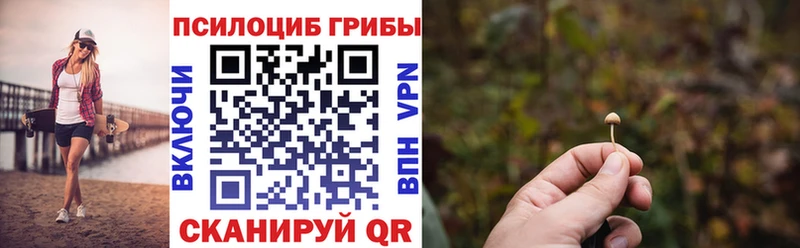 Галлюциногенные грибы ЛСД  это какой сайт  Куровское 